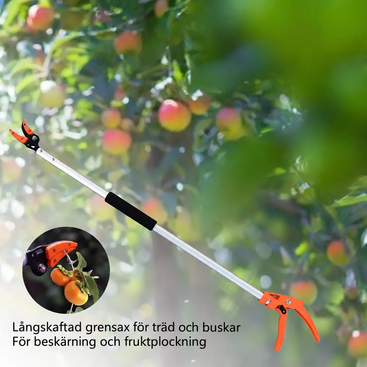 Långskaftad grensax
