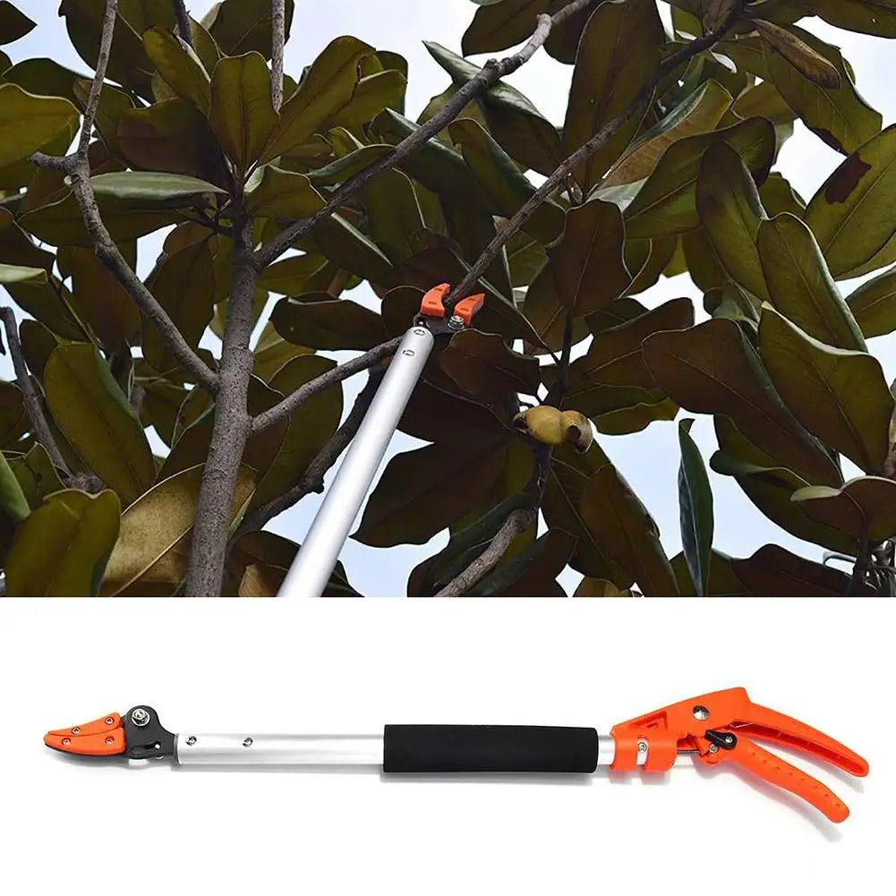 Långskaftad grensax